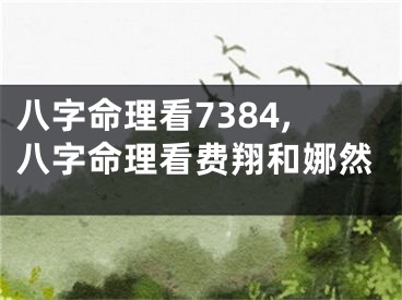 八字命理看7384,八字命理看费翔和娜然