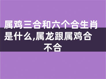 属鸡三合和六个合生肖是什么,属龙跟属鸡合不合