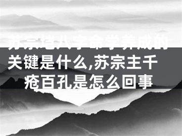 苏宗垲八字命学养成的关键是什么,苏宗主千疮百孔是怎么回事