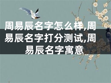 周易辰名字怎么样,周易辰名字打分测试,周易辰名字寓意