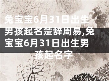 兔宝宝6月31日出生男孩起名楚辞周易,兔宝宝6月31日出生男孩起名字