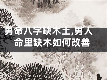 男命八字缺木土,男人命里缺木如何改善