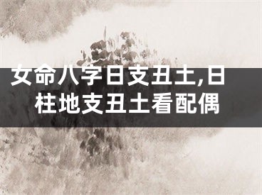 女命八字日支丑土,日柱地支丑土看配偶