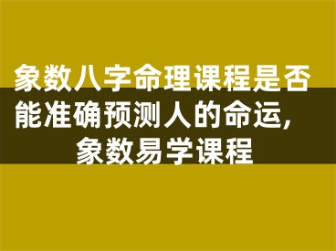 象数八字命理课程是否能准确预测人的命运,象数易学课程