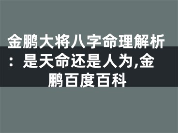 金鹏大将八字命理解析：是天命还是人为,金鹏百度百科
