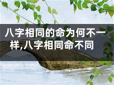 八字相同的命为何不一样,八字相同命不同