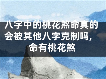 八字中的桃花煞命真的会被其他八字克制吗,命有桃花煞
