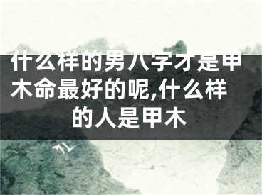 什么样的男八字才是甲木命最好的呢,什么样的人是甲木