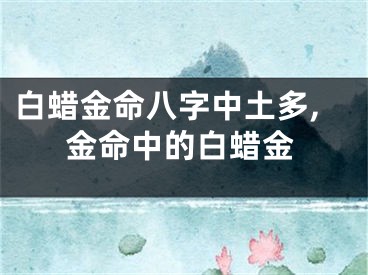 白蜡金命八字中土多,金命中的白蜡金