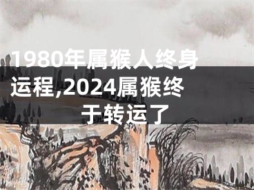 1980年属猴人终身运程,2024属猴终于转运了