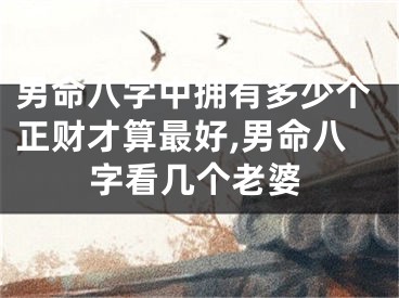 男命八字中拥有多少个正财才算最好,男命八字看几个老婆