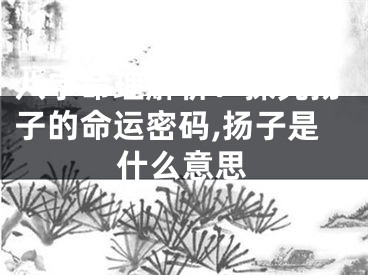 八字命理解析：探究扬子的命运密码,扬子是什么意思