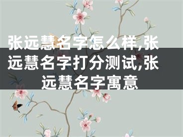 张远慧名字怎么样,张远慧名字打分测试,张远慧名字寓意