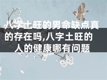 八字土旺的男命缺点真的存在吗,八字土旺的人的健康哪有问题