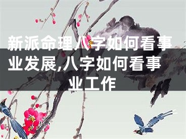 新派命理八字如何看事业发展,八字如何看事业工作
