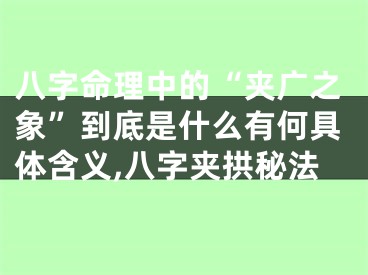 八字命理中的“夹广之象”到底是什么有何具体含义,八字夹拱秘法