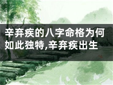 辛弃疾的八字命格为何如此独特,辛弃疾出生