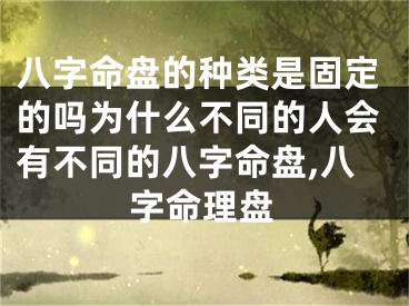 八字命盘的种类是固定的吗为什么不同的人会有不同的八字命盘,八字命理盘