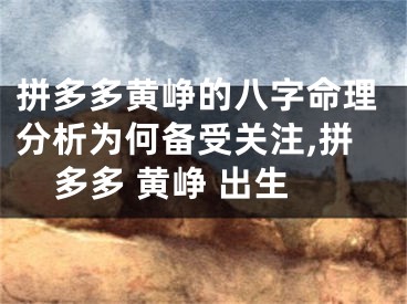 拼多多黄峥的八字命理分析为何备受关注,拼多多 黄峥 出生