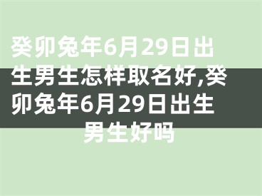 癸卯兔年6月29日出生男生怎样取名好,癸卯兔年6月29日出生男生好吗