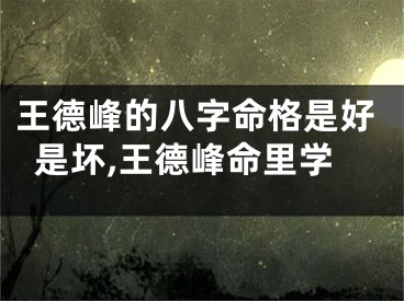 王德峰的八字命格是好是坏,王德峰命里学