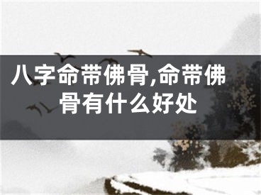 八字命带佛骨,命带佛骨有什么好处