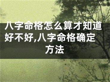 八字命格怎么算才知道好不好,八字命格确定方法
