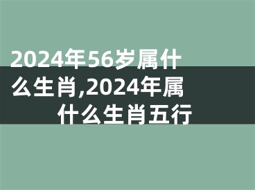 2024年56岁属什么生肖,2024年属什么生肖五行