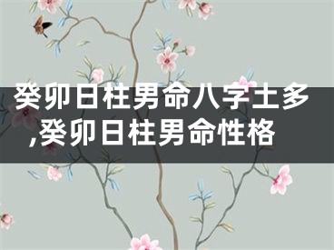 癸卯日柱男命八字土多,癸卯日柱男命性格