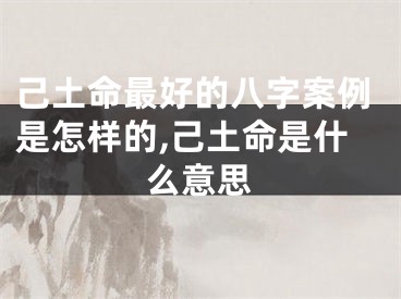 己土命最好的八字案例是怎样的,己土命是什么意思