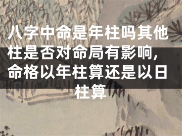 八字中命是年柱吗其他柱是否对命局有影响,命格以年柱算还是以日柱算