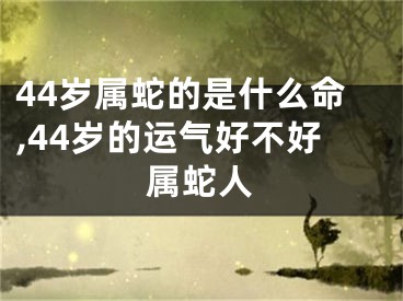 44岁属蛇的是什么命,44岁的运气好不好属蛇人