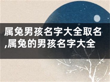 属兔男孩名字大全取名,属兔的男孩名字大全
