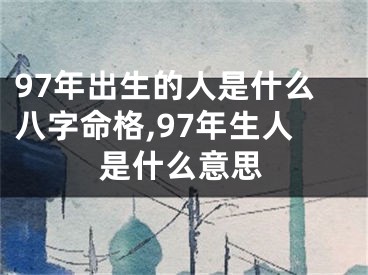 97年出生的人是什么八字命格,97年生人是什么意思