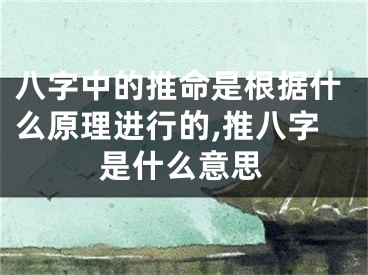 八字中的推命是根据什么原理进行的,推八字是什么意思