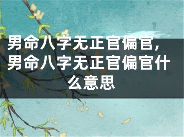 男命八字无正官偏官,男命八字无正官偏官什么意思