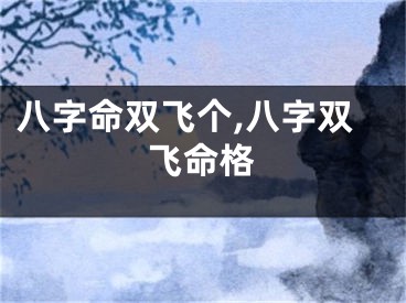 八字命双飞个,八字双飞命格