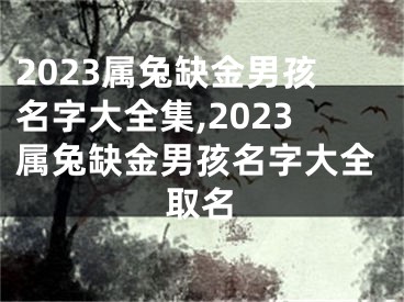 2023属兔缺金男孩名字大全集,2023属兔缺金男孩名字大全取名