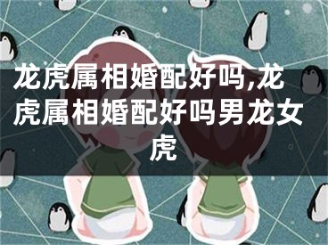 龙虎属相婚配好吗,龙虎属相婚配好吗男龙女虎