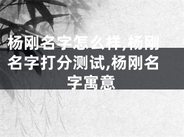 杨刚名字怎么样,杨刚名字打分测试,杨刚名字寓意