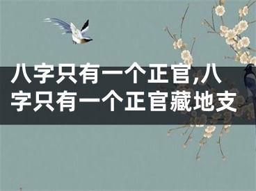 八字只有一个正官,八字只有一个正官藏地支