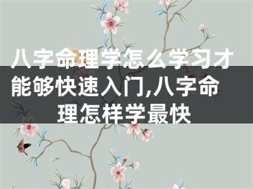 八字命理学怎么学习才能够快速入门,八字命理怎样学最快