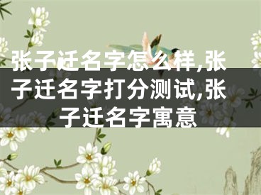 张子迁名字怎么样,张子迁名字打分测试,张子迁名字寓意