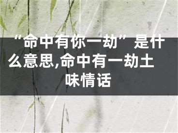 “命中有你一劫”是什么意思,命中有一劫土味情话
