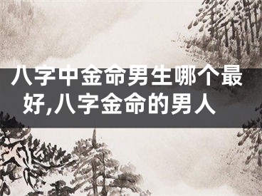 八字中金命男生哪个最好,八字金命的男人