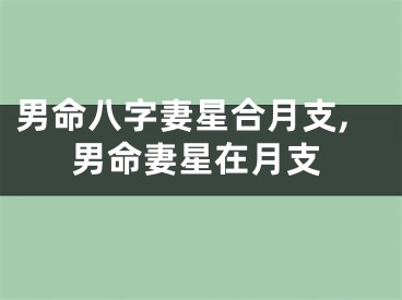 男命八字妻星合月支,男命妻星在月支