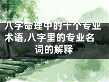 八字命理中的十个专业术语,八字里的专业名词的解释