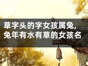 草字头的字女孩属兔,兔年有水有草的女孩名