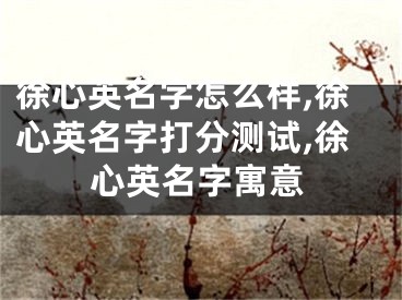 徐心英名字怎么样,徐心英名字打分测试,徐心英名字寓意