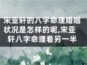 宋亚轩的八字命理婚姻状况是怎样的呢,宋亚轩八字命理看另一半